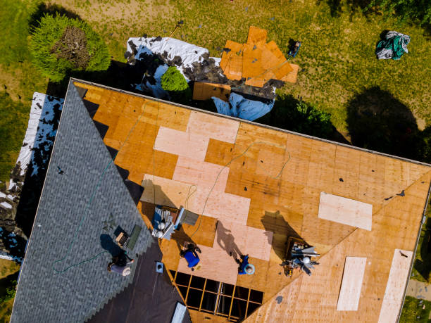 Best Flat Roof Repair Services  in Babbitt, MN