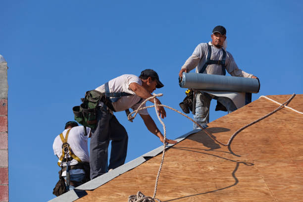 Best Roof Repair Estimates  in Babbitt, MN
